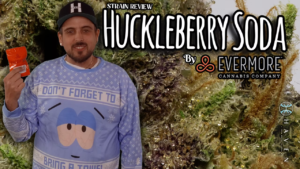 Huckleberry Soda by evermore