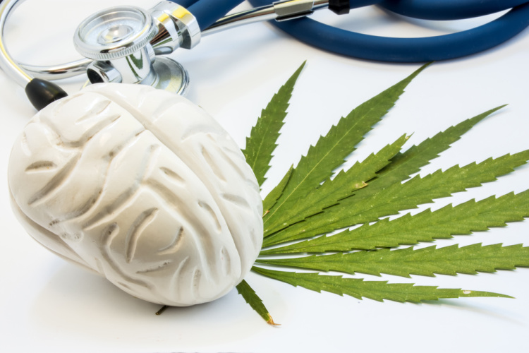 CBD for brain trauma brain on leaf