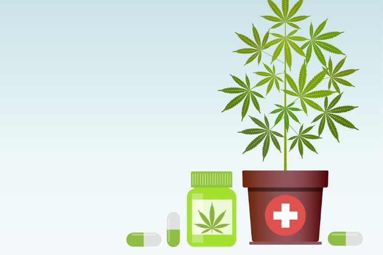 Maryland Medical Cannabis illustration