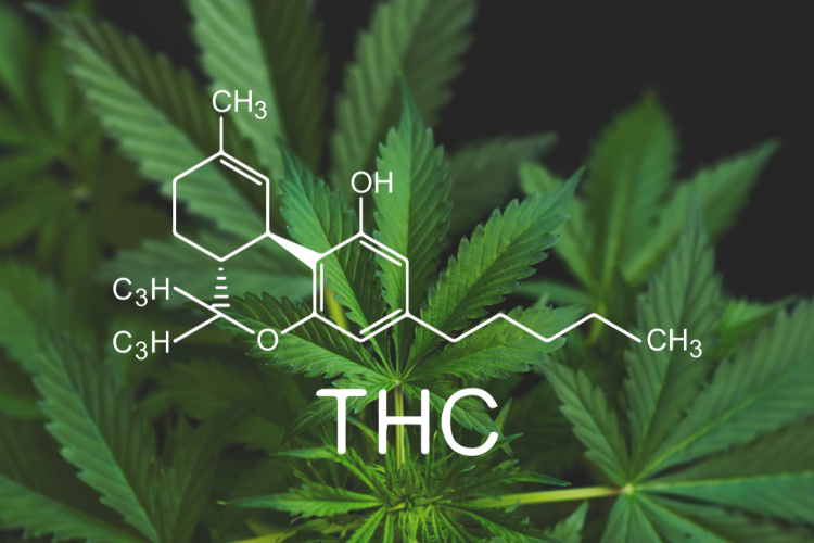 High THC Strains molecule