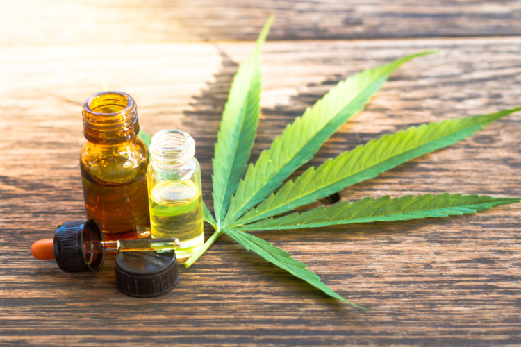 Cannabis Extracts: Just the Basics, Please - Haven