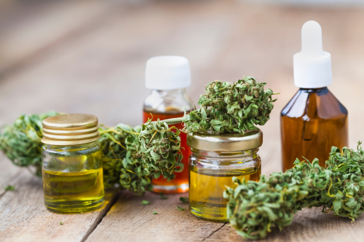 How to Use Cannabis Oil bud on oils
