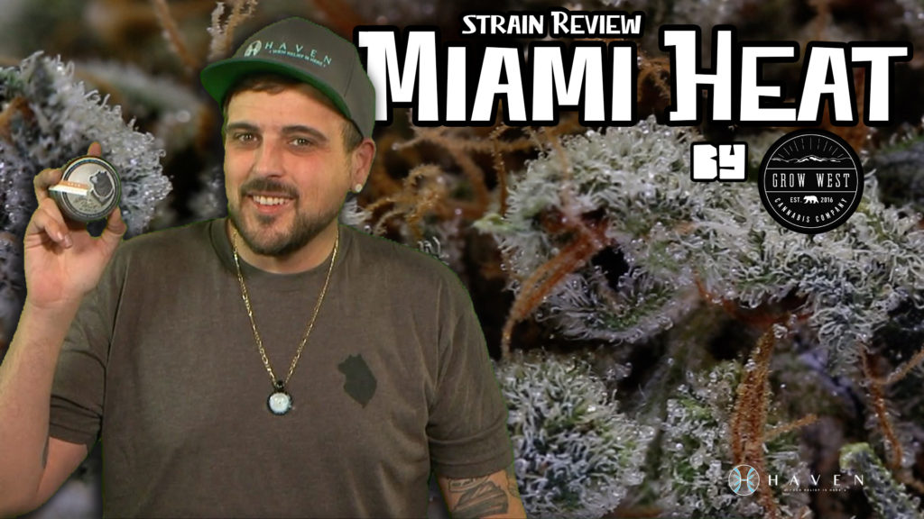 Miami heat Strain Review