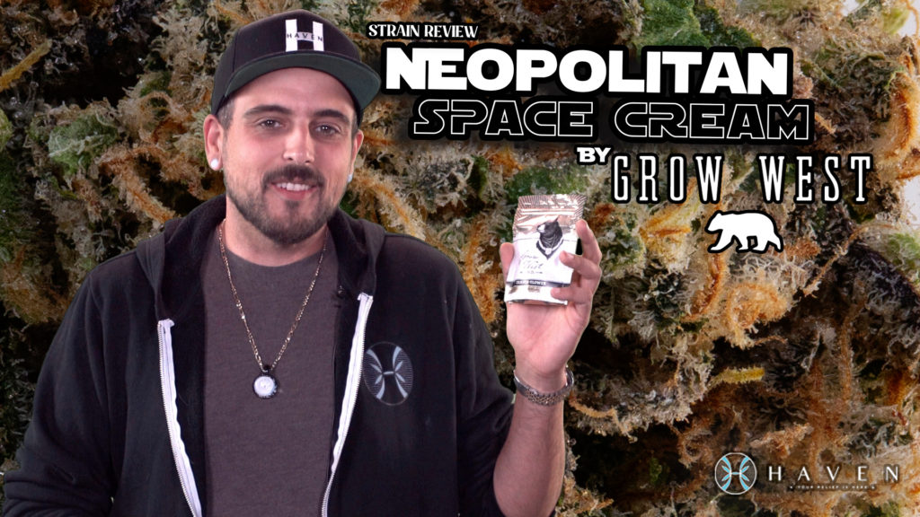 Neopolitan Space Cream by Grow West