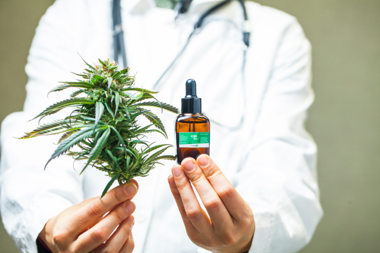 cannabis and autism doctor with flower and oil