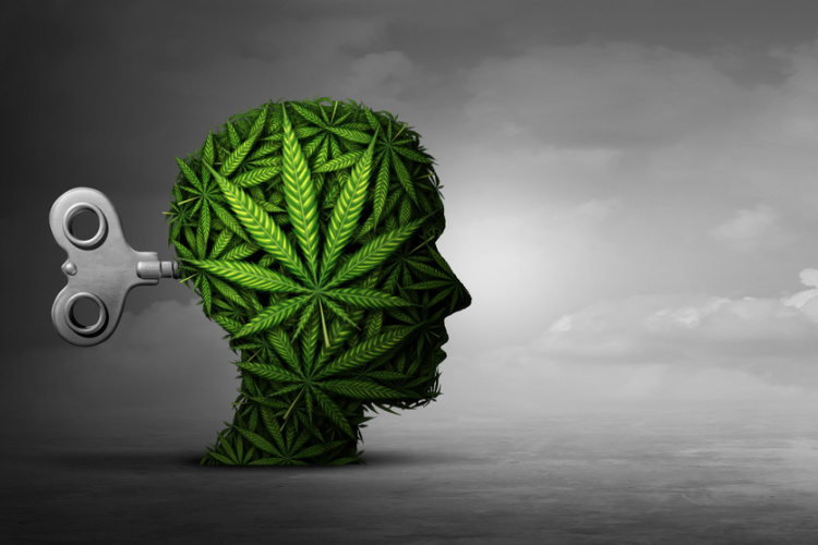 cannabis for depression head of cannabis in grayscale background