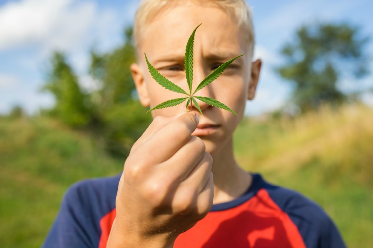 how does cannabis affect the brain children