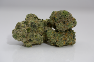 Kosher Kush x Girl Scout Cookies by Good Green