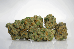 Fire Cracker by Cultivar Fire Cracker by Cultivar