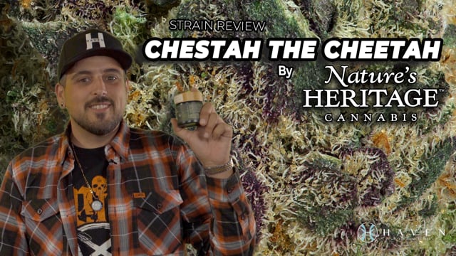 Chestah The Cheetah by Natures Heritage