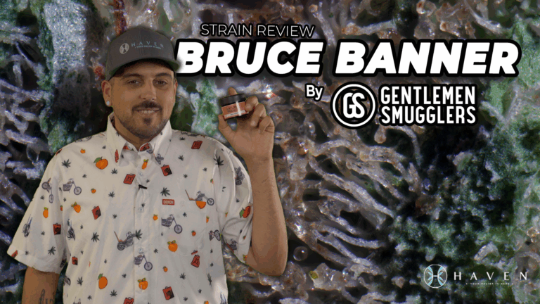 Bruce Banner by Gentlemen Smugglers SOTW