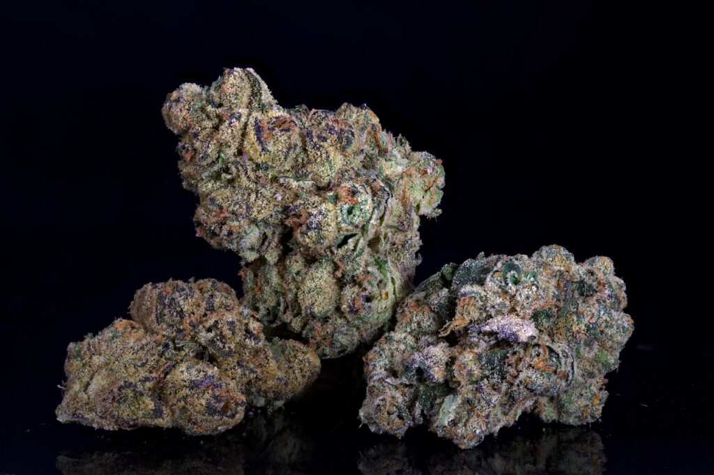 Mule Fuel