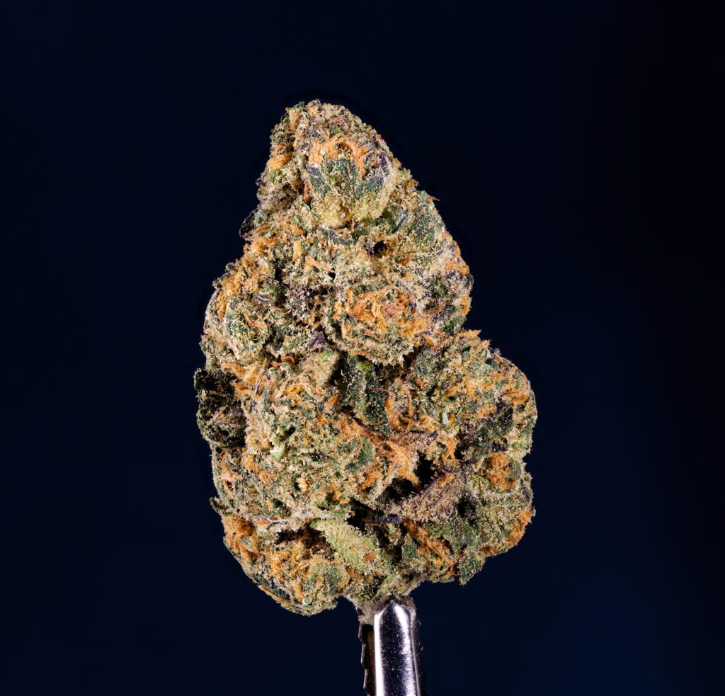 Uva Bon Bon